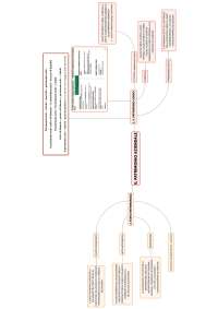 mappe concettuali di economia