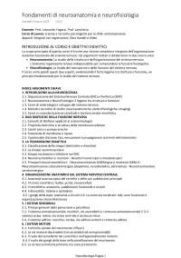 Appunti completi Neuroanatomia e Neurofisiologia (6 CFU) - Scienze Psicologiche - Basato s