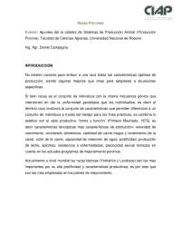 Producción porcina medicina veterinaria