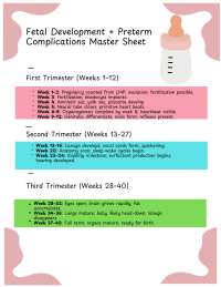 Maternity and Newborn Fetal Stages