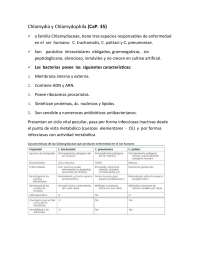 Infecciones por Chlamydia y Chlamydophila: Patogenia, Diagnóstico y Tratamiento
