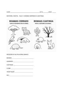 BIOMAS BRASILEIROS, CAATINGA E CERRADO