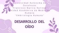 Desarrollo Embrionario del Oído Humano: Guía Anatómica y Molecular
