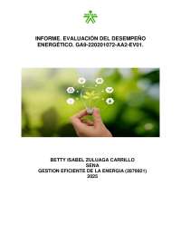 gestion eficiente de la energia