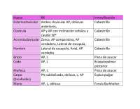 inmovilizaciones y radiografias