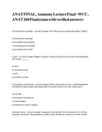 Anatomy Final Exam with Verified Answers