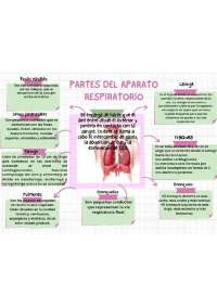Es un trabajo de salud comunitaria