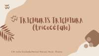Trichuris Trichiura: Estudio Detallado del Tricocéfalo