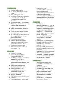 Resumen de Virus: Características, Epidemiología y Tratamiento