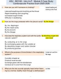 Cardiovascular System and Immunity Practice Exam