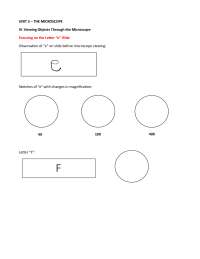 Sketch bio 124 for the cell lab