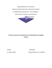 Carbohidratos: Funciones, Estructura y Clasificación en Biología Humana