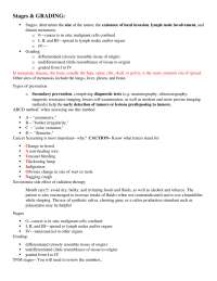 Study guide Staging.docx