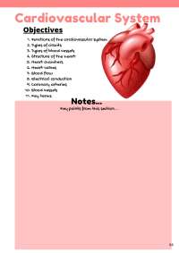 Human Anatomy and Physiology: Cardio, Respiratory, Nervous, and Skeletal Systems