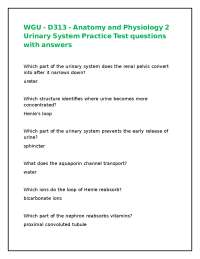 Urinary System Anatomy and Physiology Practice Test Questions with Answers