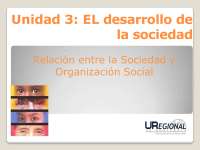Sociedad y Organización Social: Definiciones, Características y Clasificación
