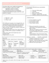 Pasos para seguir estudiando medicina