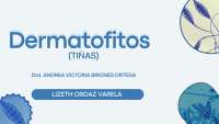 DIAPSITIVAS DE TIÑAS