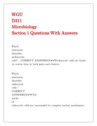 Microbiology Exam Questions and Answers