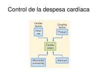 Cardiac despense summary