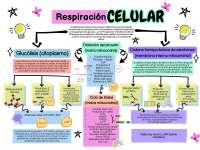 La respiración celular