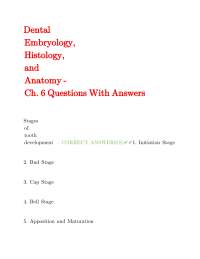 Dental Embryology, Histology, and Anatomy: Q&A for Students