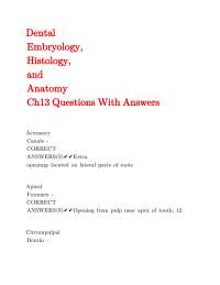 Dental Anatomy, Embryology, and Histology: Chapter 13 Q&A