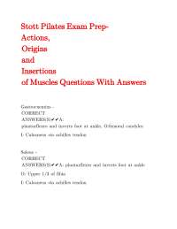 Stott Pilates Exam Prep: Muscle Actions, Origins, and Insertions Q&A
