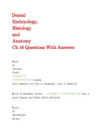 Dental Anatomy, Embryology, and Histology: Q&A on Anterior Teeth