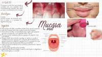 odontologia e assuntos