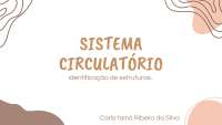 odontologia e assuntos