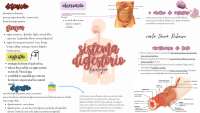 odontologia e assuntos
