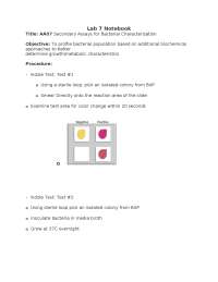 Microbiology lab 7 notes portage