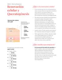 Renovación Celular y Queratogénesis