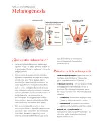 Resumen de Melanogénesis