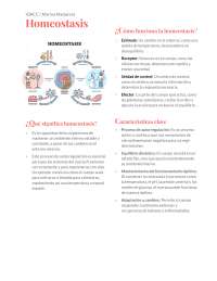 Resumen de Homeostasis