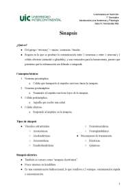 Información clave de la Sinapsis Neuronal.