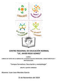 La nueva escuela mexicana: Campo formativo