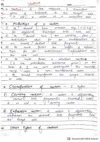 Vectors Used in Genetic Engineering – BSc & MSc Zoology, Exam Notes