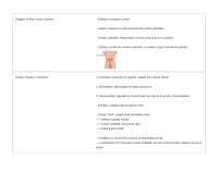 (2026)BIO 208 Chapter 26: Urinary System