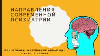Совреме Направления психиатрии