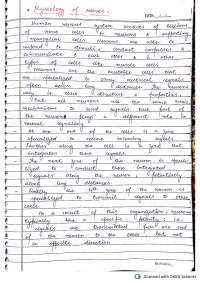 Nervous System Physiology – Study Notes on Nerve Function