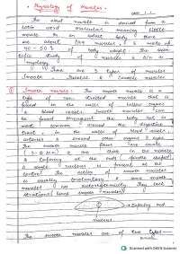 Muscle Physiology Study Notes – Structure, Contraction & Function