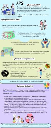 Infografía de APS (tipo resumen)