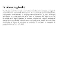 la celula y la estructura de ella sus componentes principales de la celula de la celula de