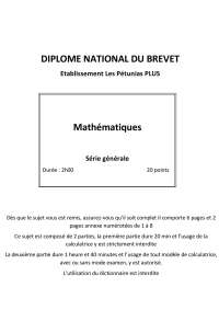 dnb blanc maths 3 eme