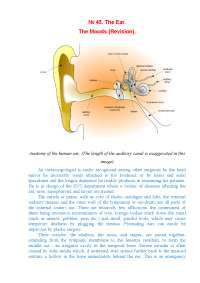 inner, outer ear. how people hear and anatomy of ear