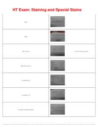 HT Exam Staining and Special Stains PDF 2025/ 2026 Complete Study Guide with Solution