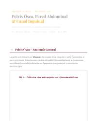 apuntes sobre el piso pelvico