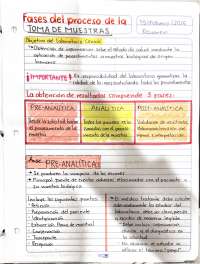 ETAPAS DE LABORATORIO CLINICO